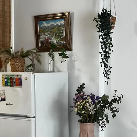 Mi Pequeno Rincon Mediterraneo Malaga
